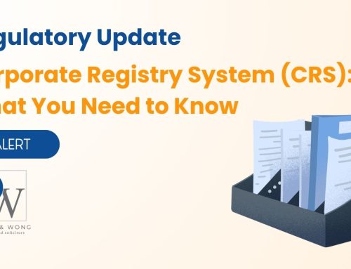 Corporate Registry System (CRS): What You Need to Know